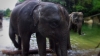 IMG_7055